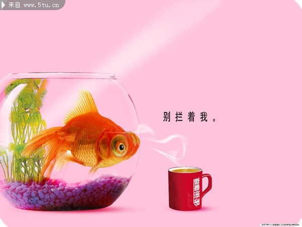 视觉与味觉的盛宴 创意食品饮料广告设计欣赏